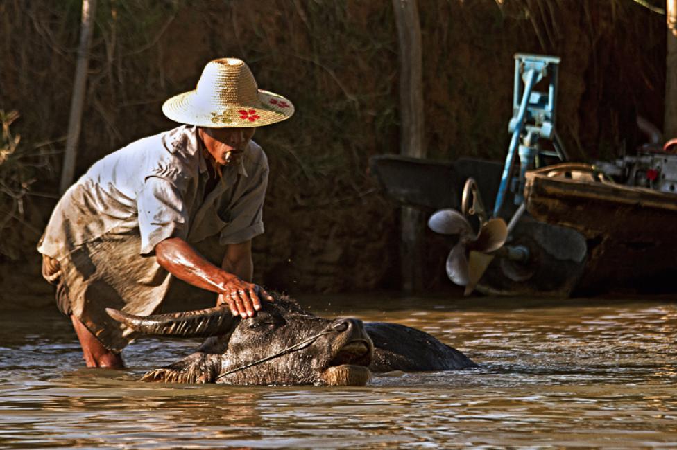 Imagen 41 de la galería de Myanmar